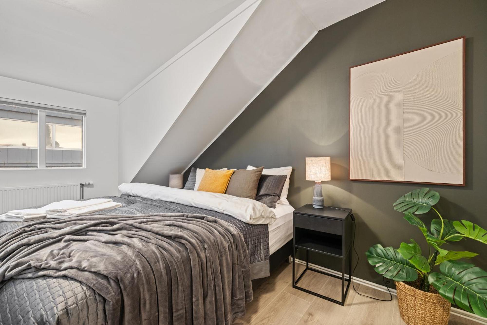 Possible Location-laugavegur Luxury Loft Feriehus Reykjavík