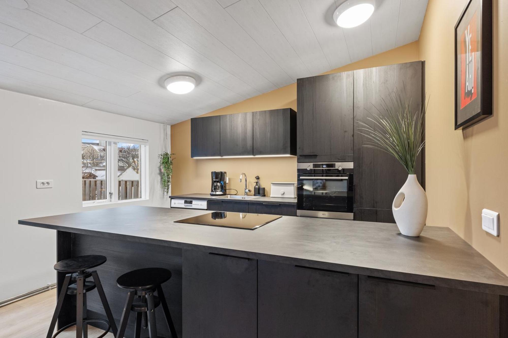 Possible Location-laugavegur Luxury Loft Feriehus Reykjavík